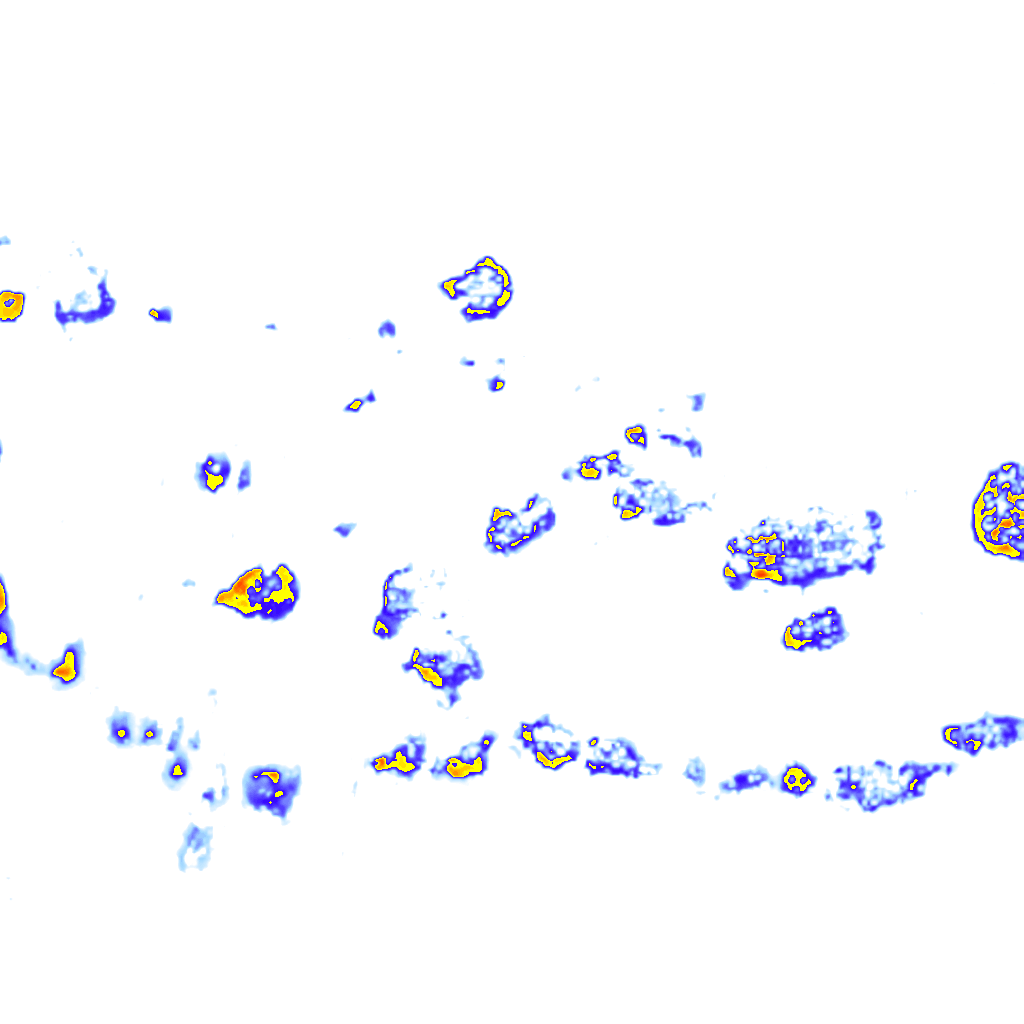 rainLayer