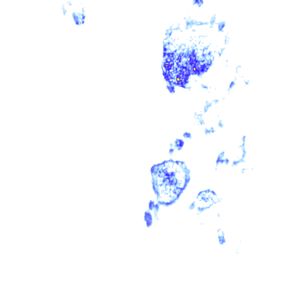 rainLayer
