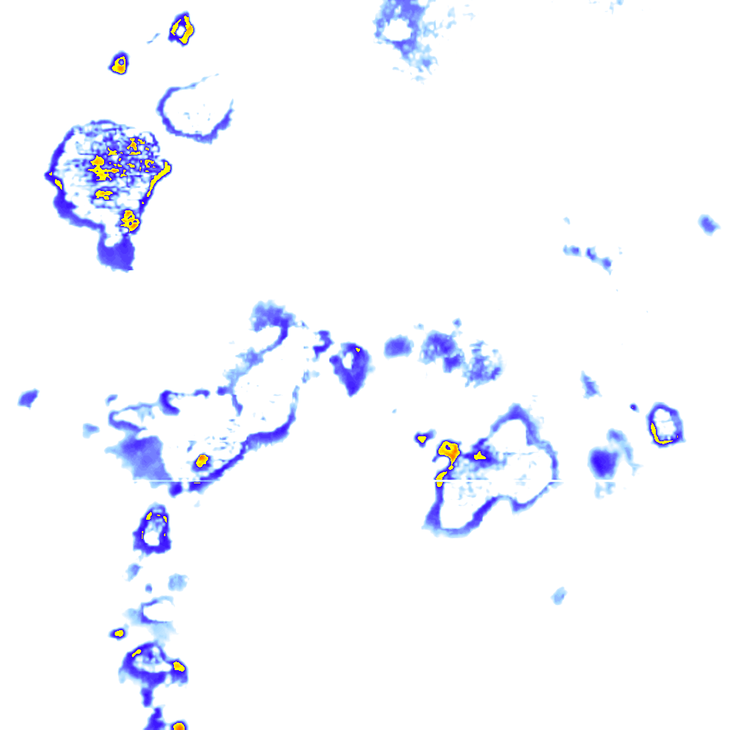 rainLayer