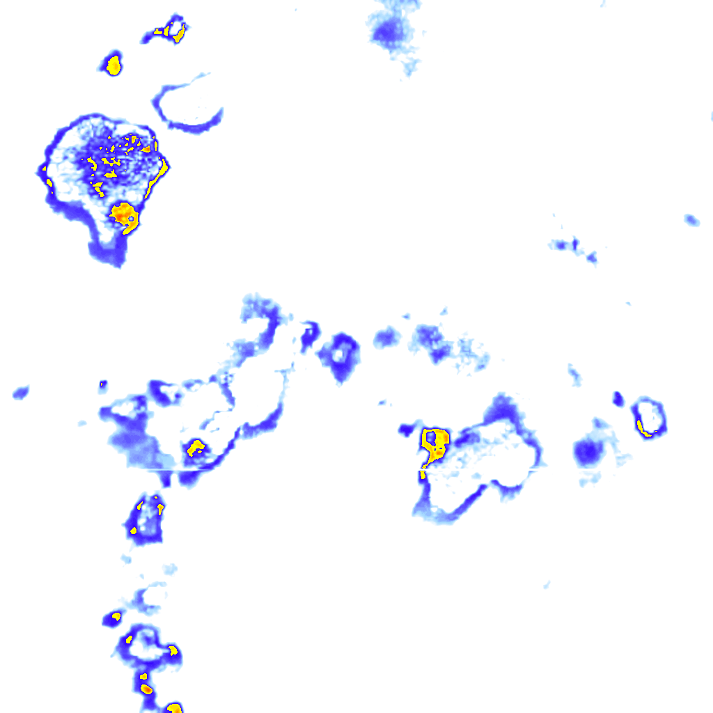 rainLayer