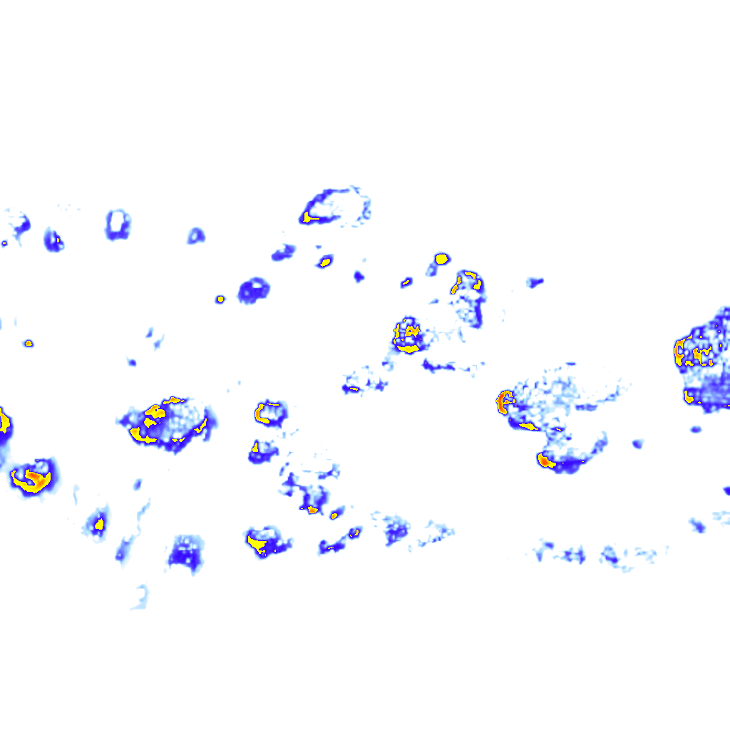 Image Layer