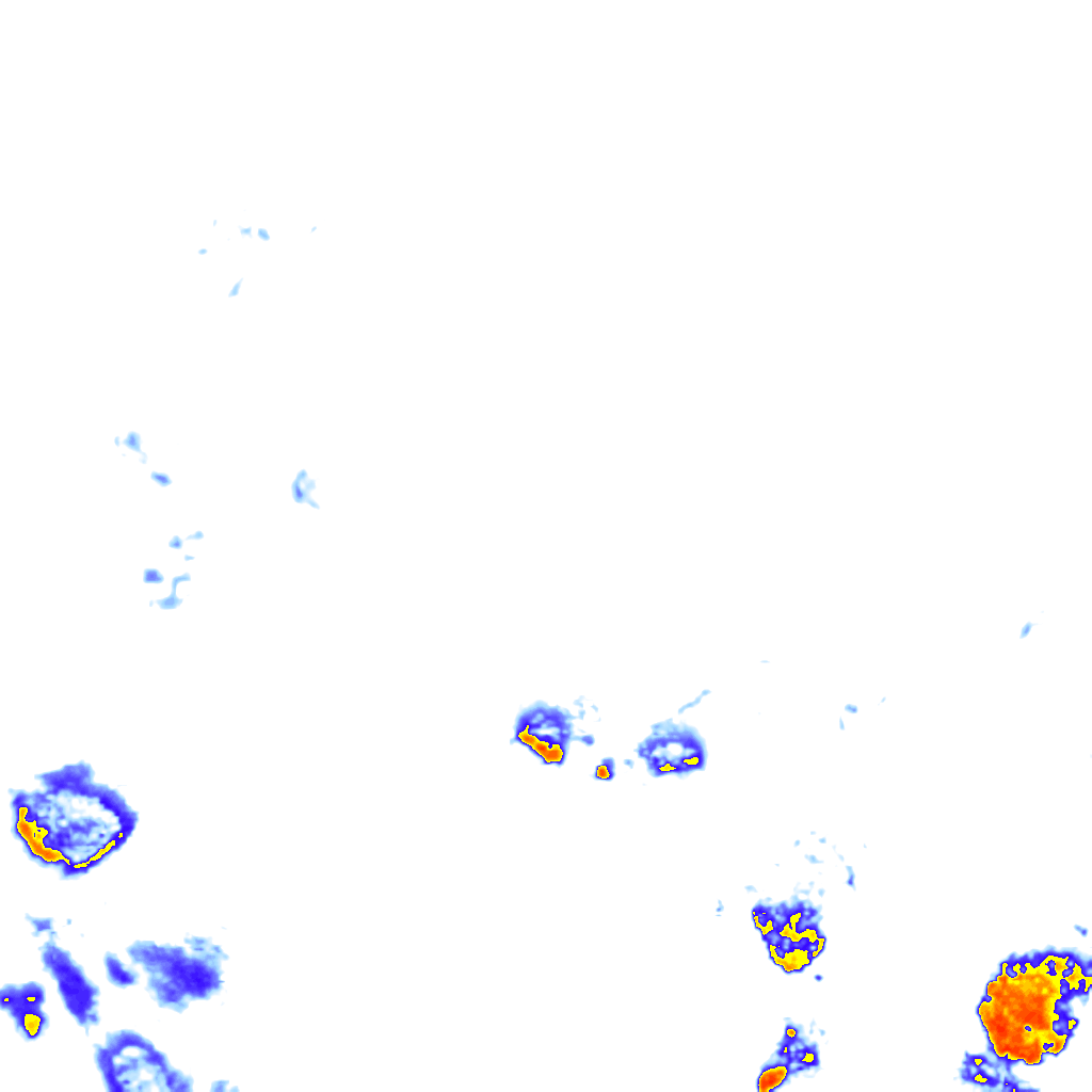 rainLayer