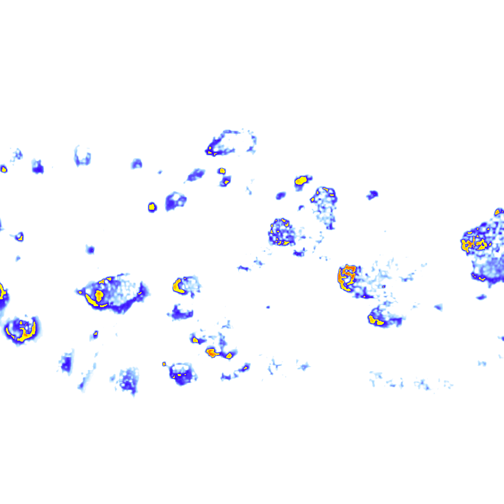 Image Layer
