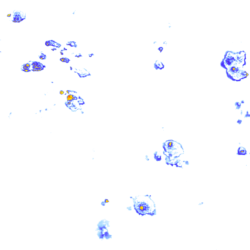 Image Layer