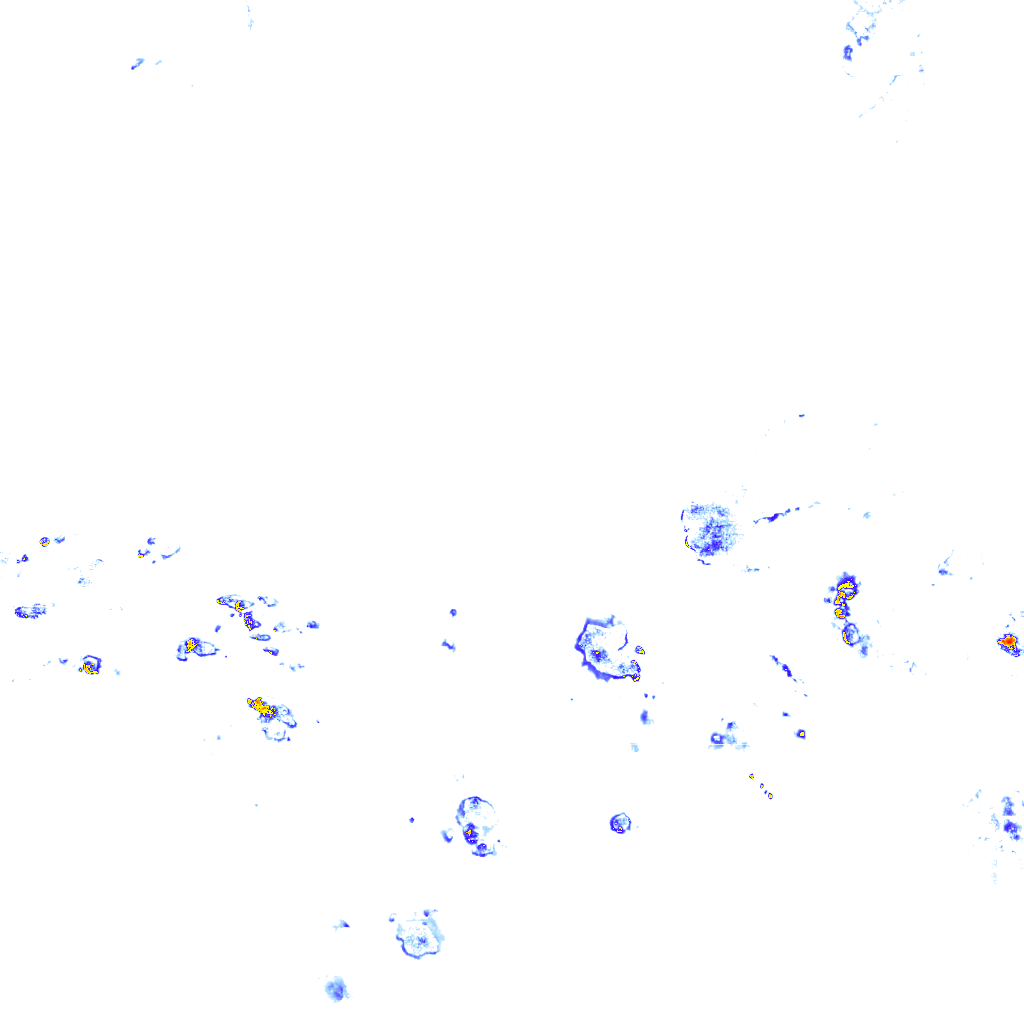 rainLayer