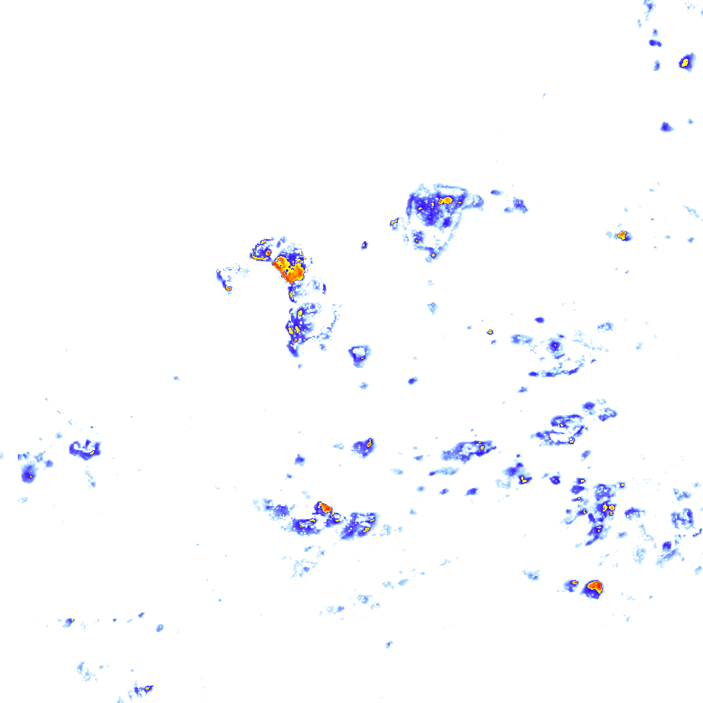 Image Layer