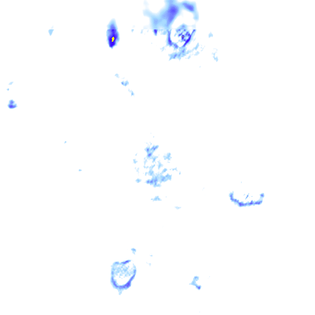 rainLayer