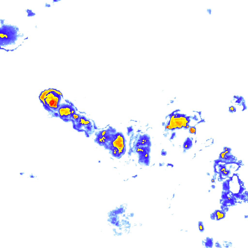 Image Layer