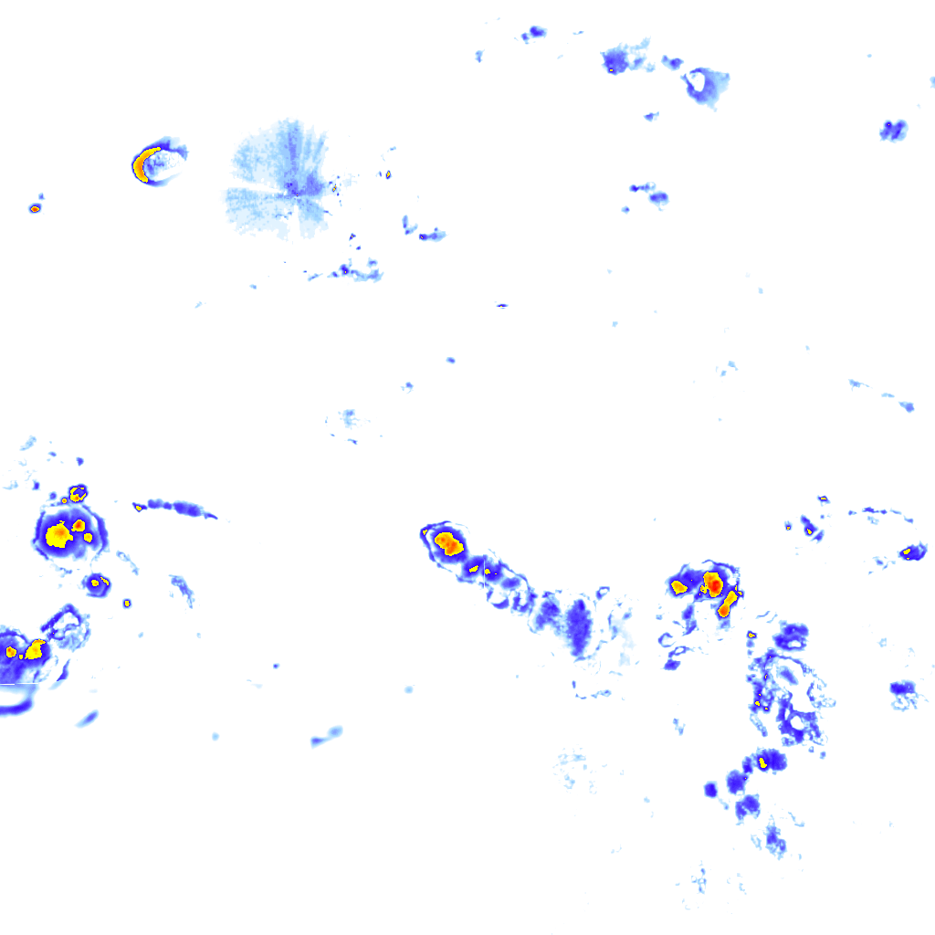 Image Layer