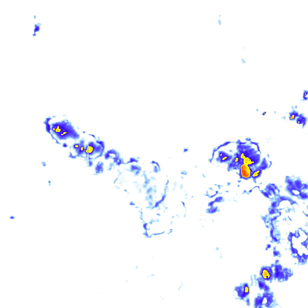 Image Layer
