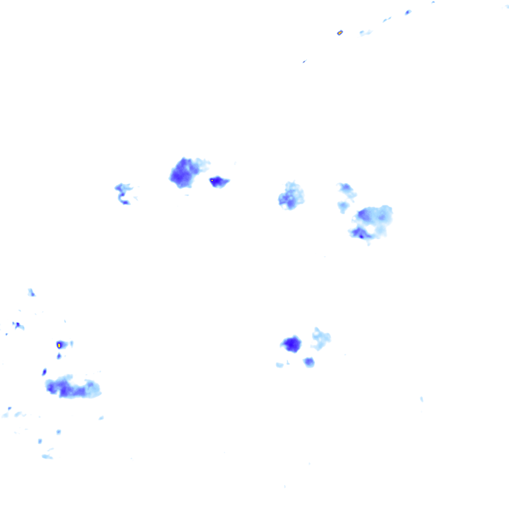 rainLayer
