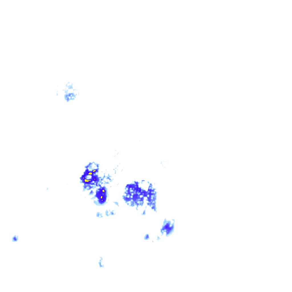 Image Layer