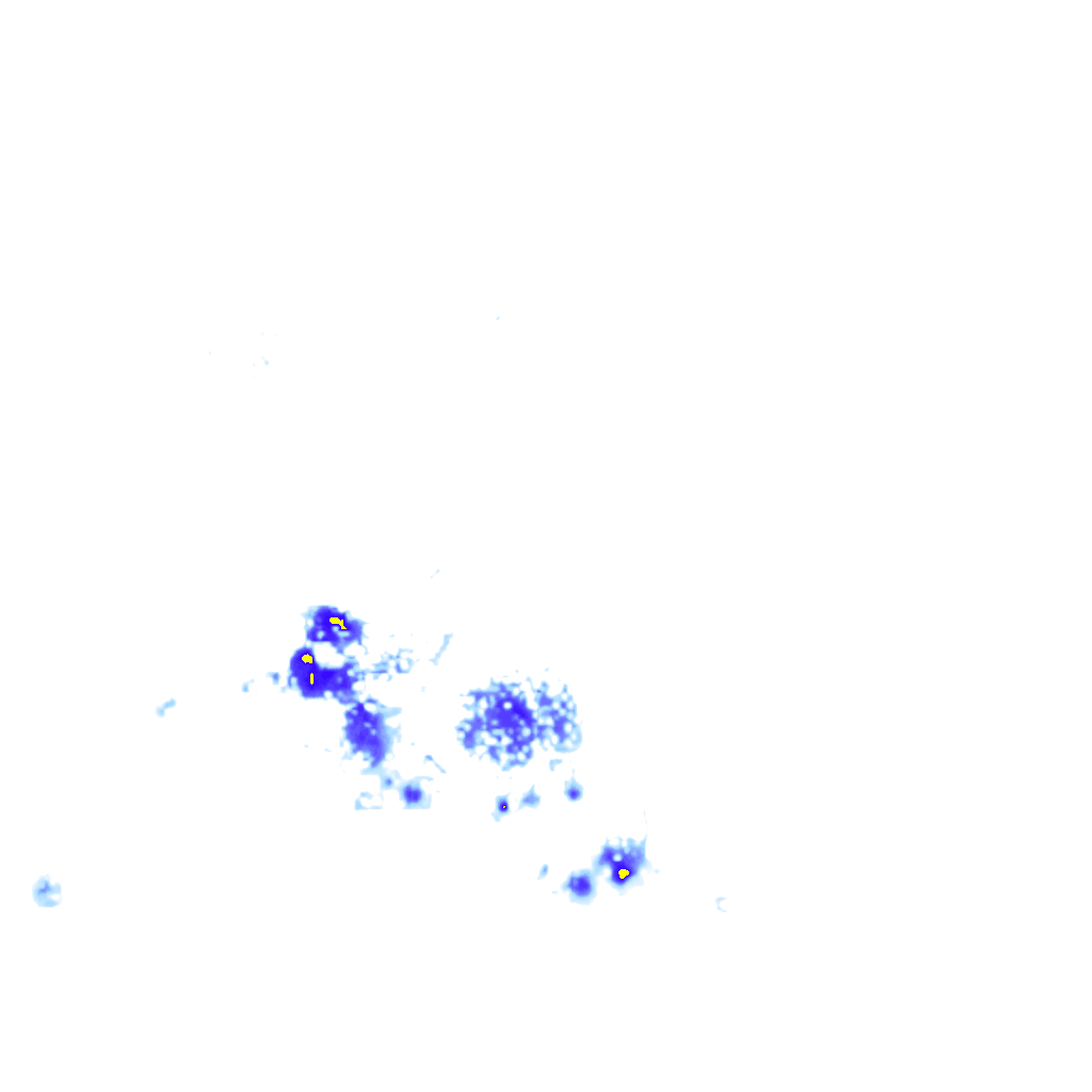 Image Layer