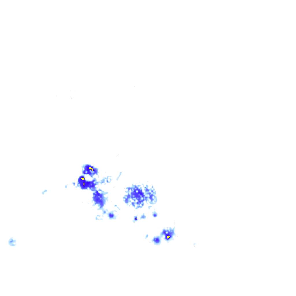 Image Layer