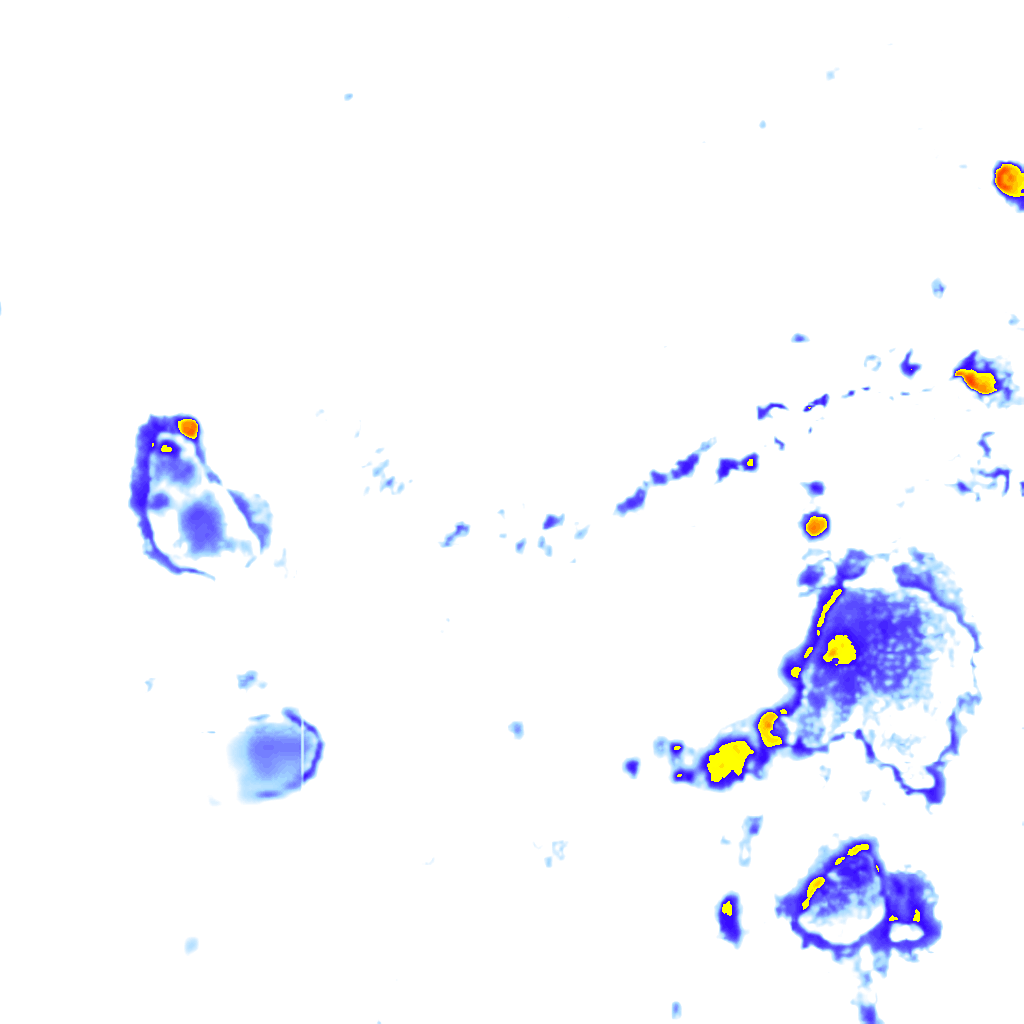 Image Layer