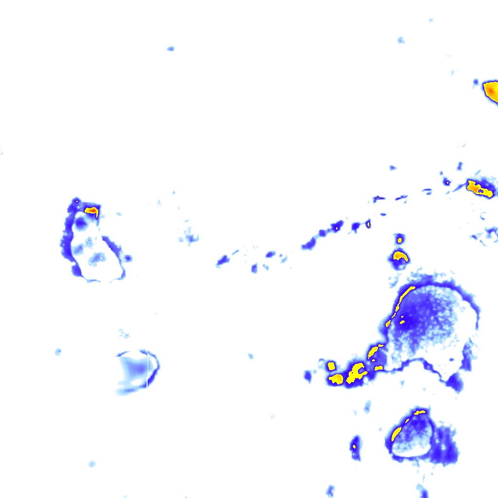 rainLayer