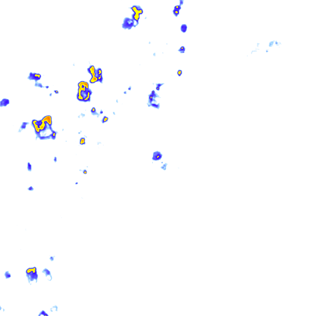 rainLayer