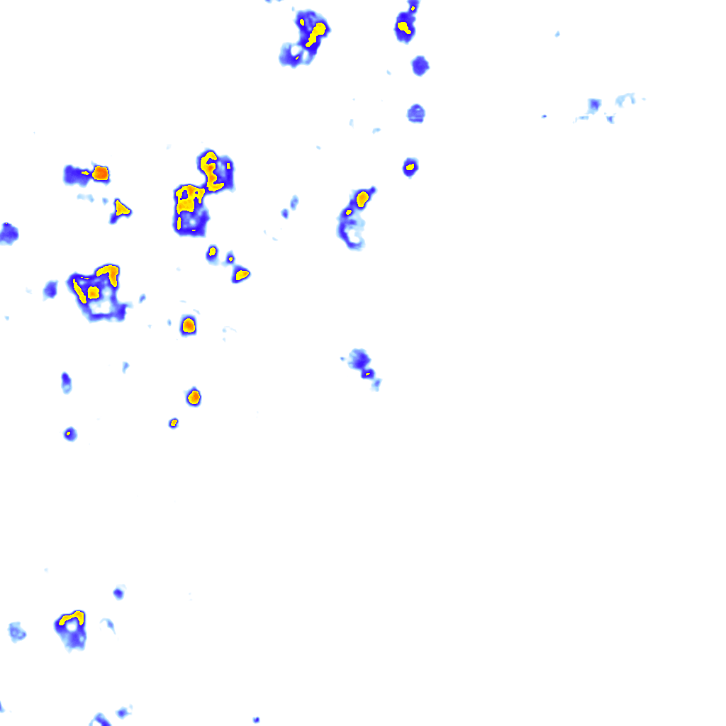 rainLayer