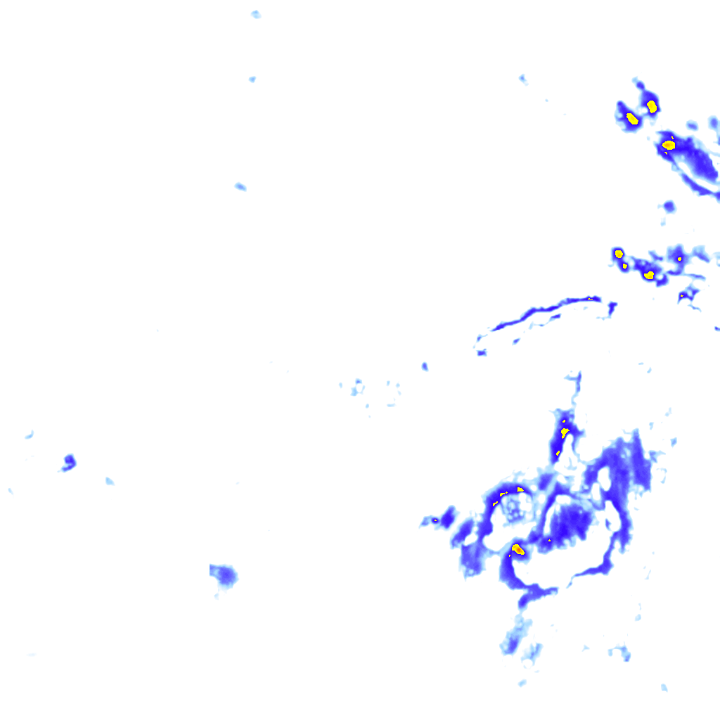 rainLayer