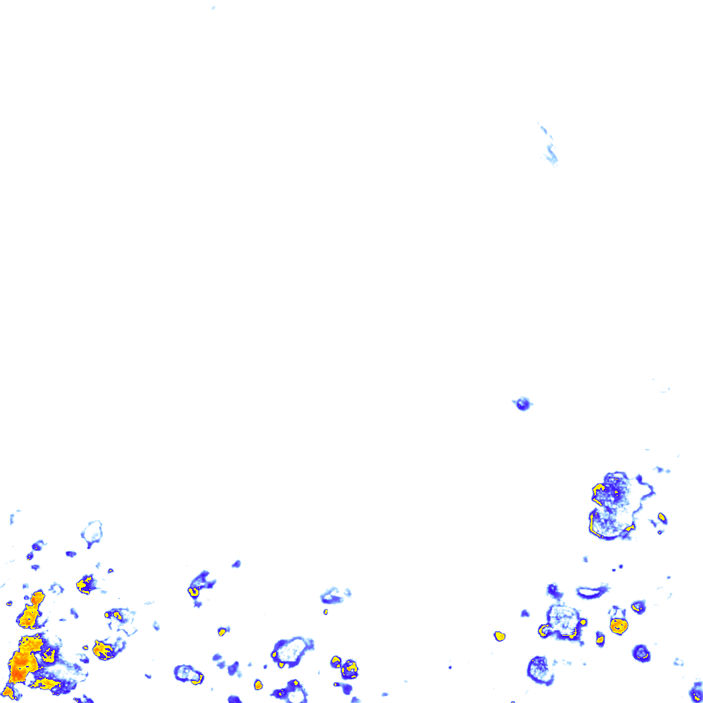 rainLayer