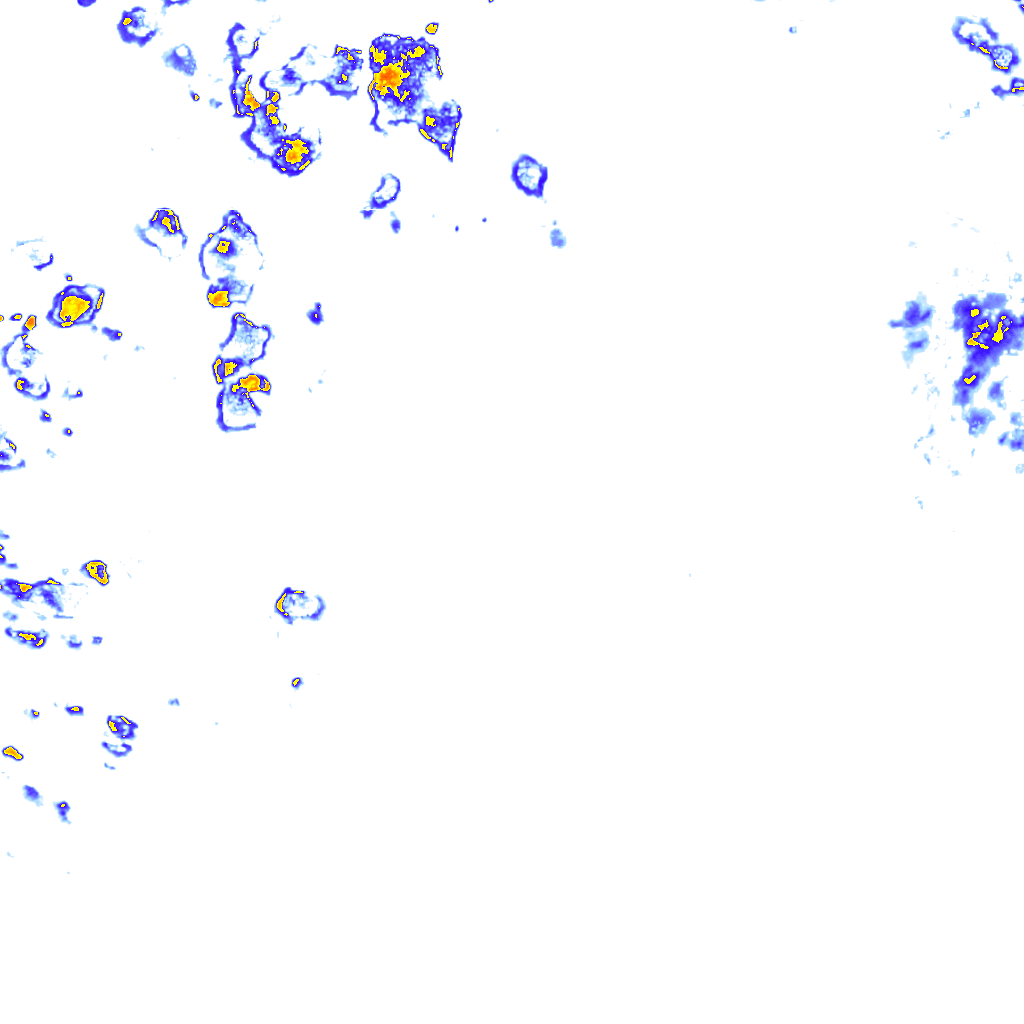 Image Layer