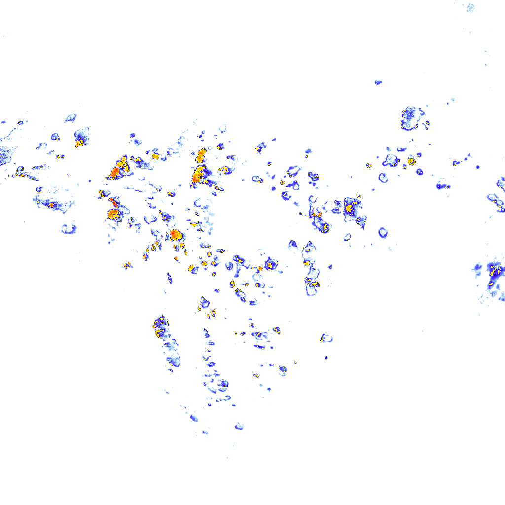 rainLayer