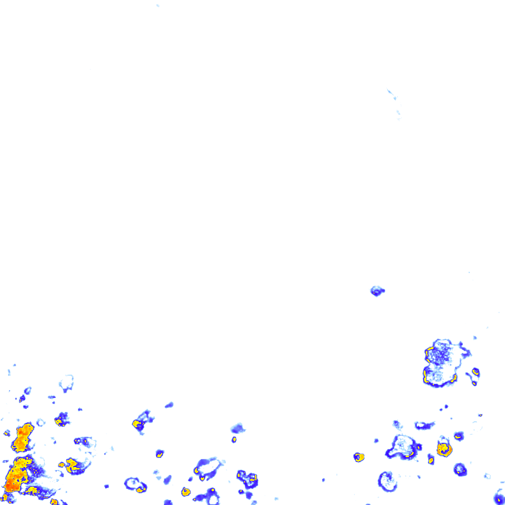 rainLayer