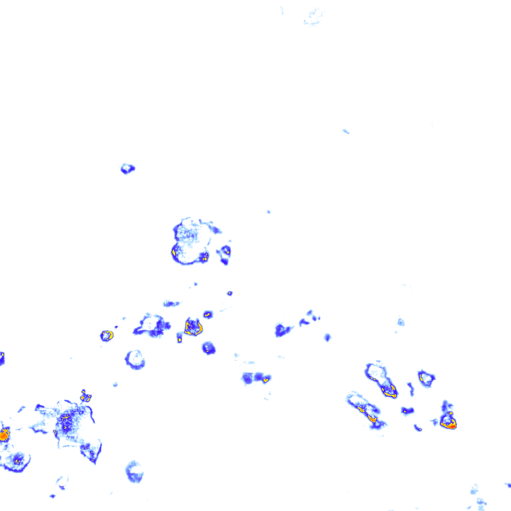 rainLayer