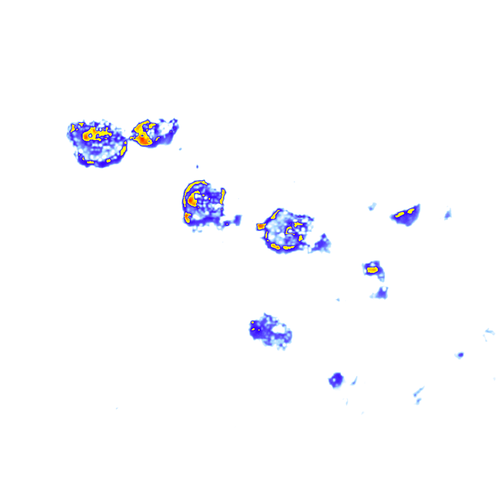 Image Layer
