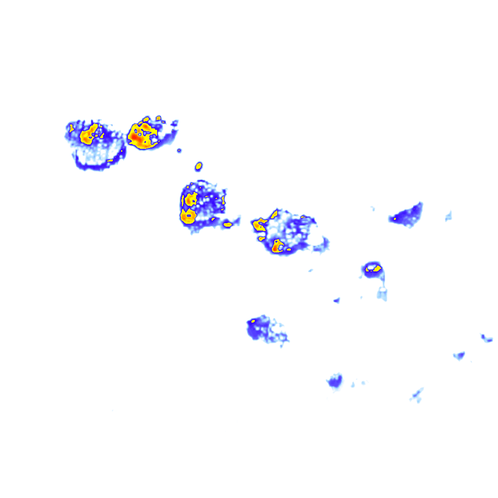 rainLayer