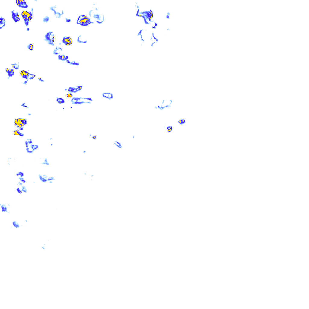 rainLayer