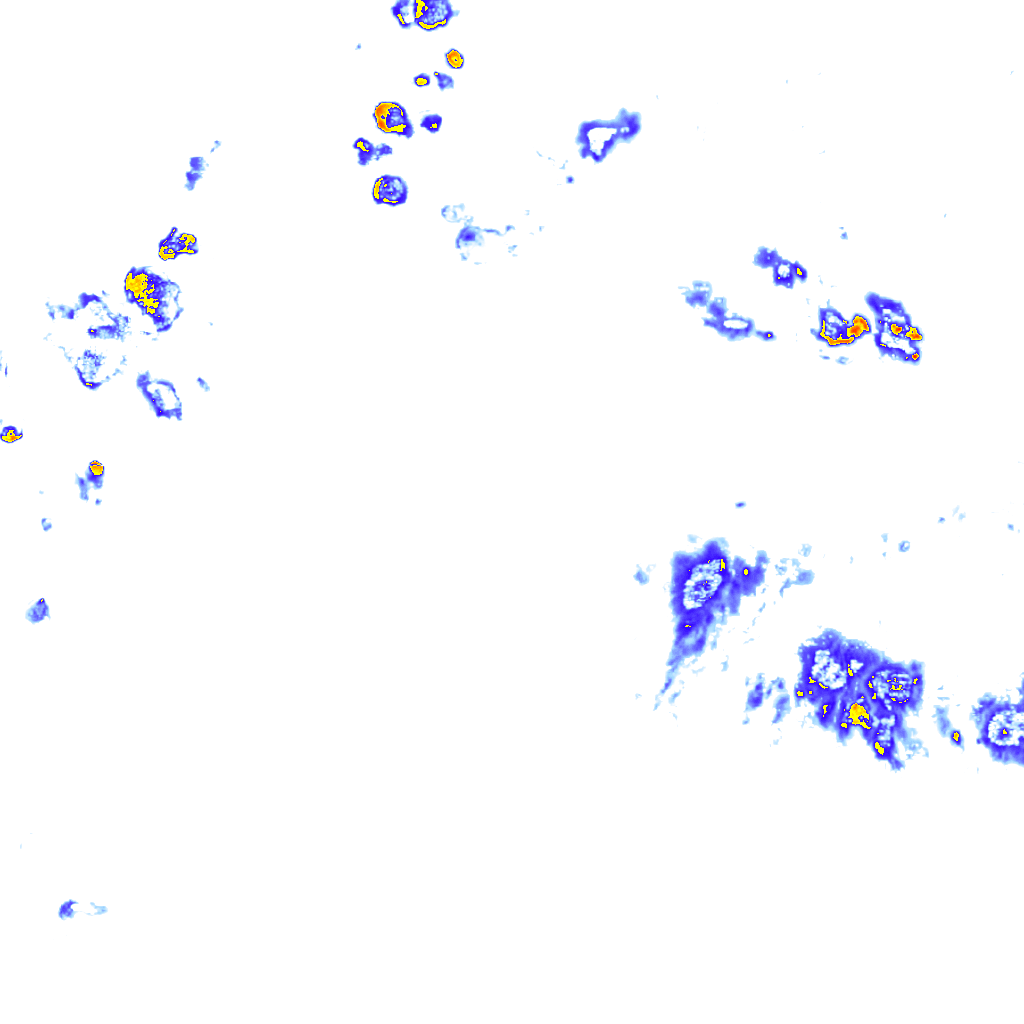 rainLayer