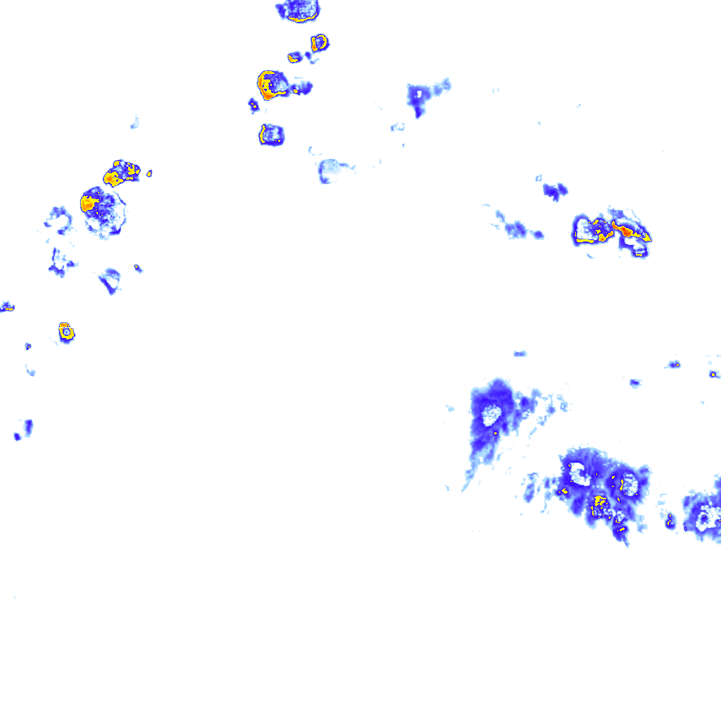 Image Layer