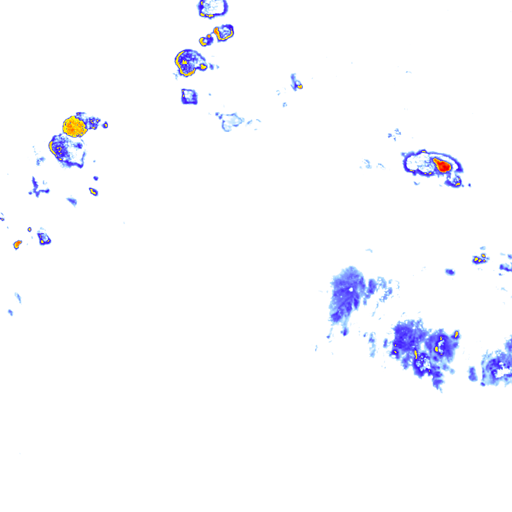 rainLayer