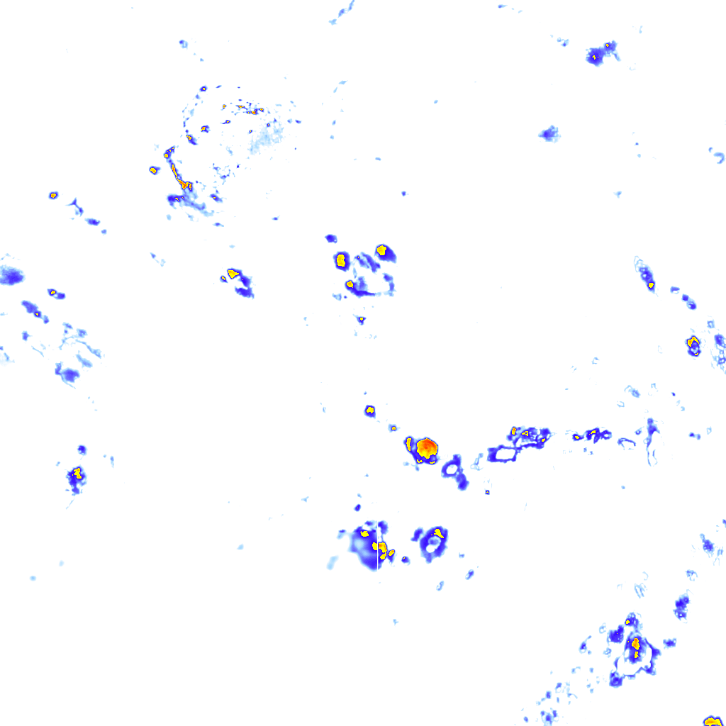 rainLayer