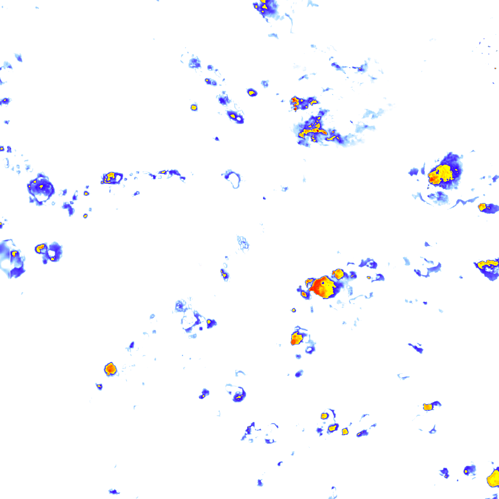 rainLayer
