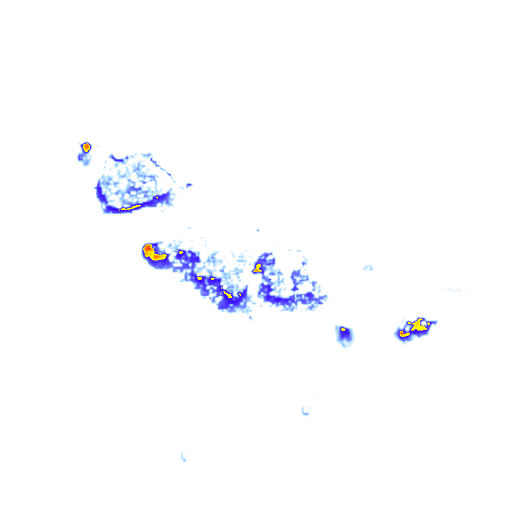 rainLayer