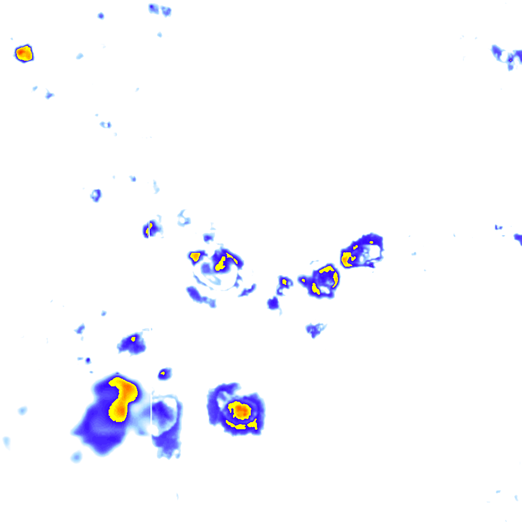Image Layer