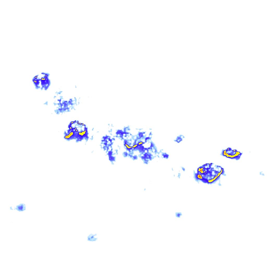 Image Layer