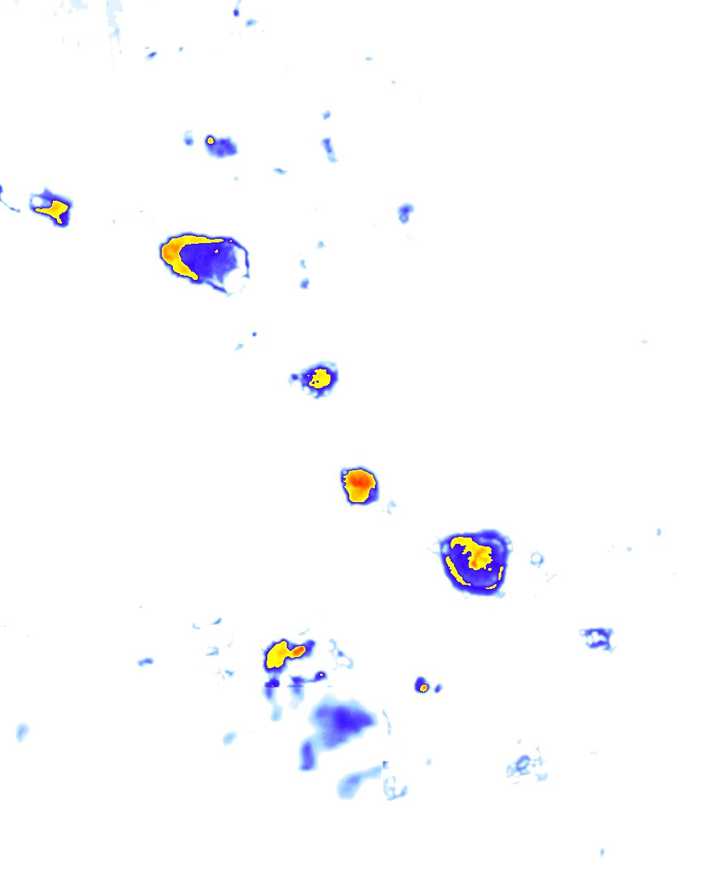 Image Layer