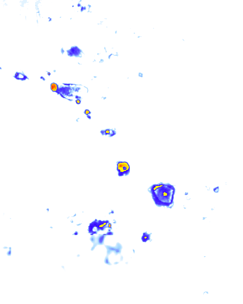 Image Layer