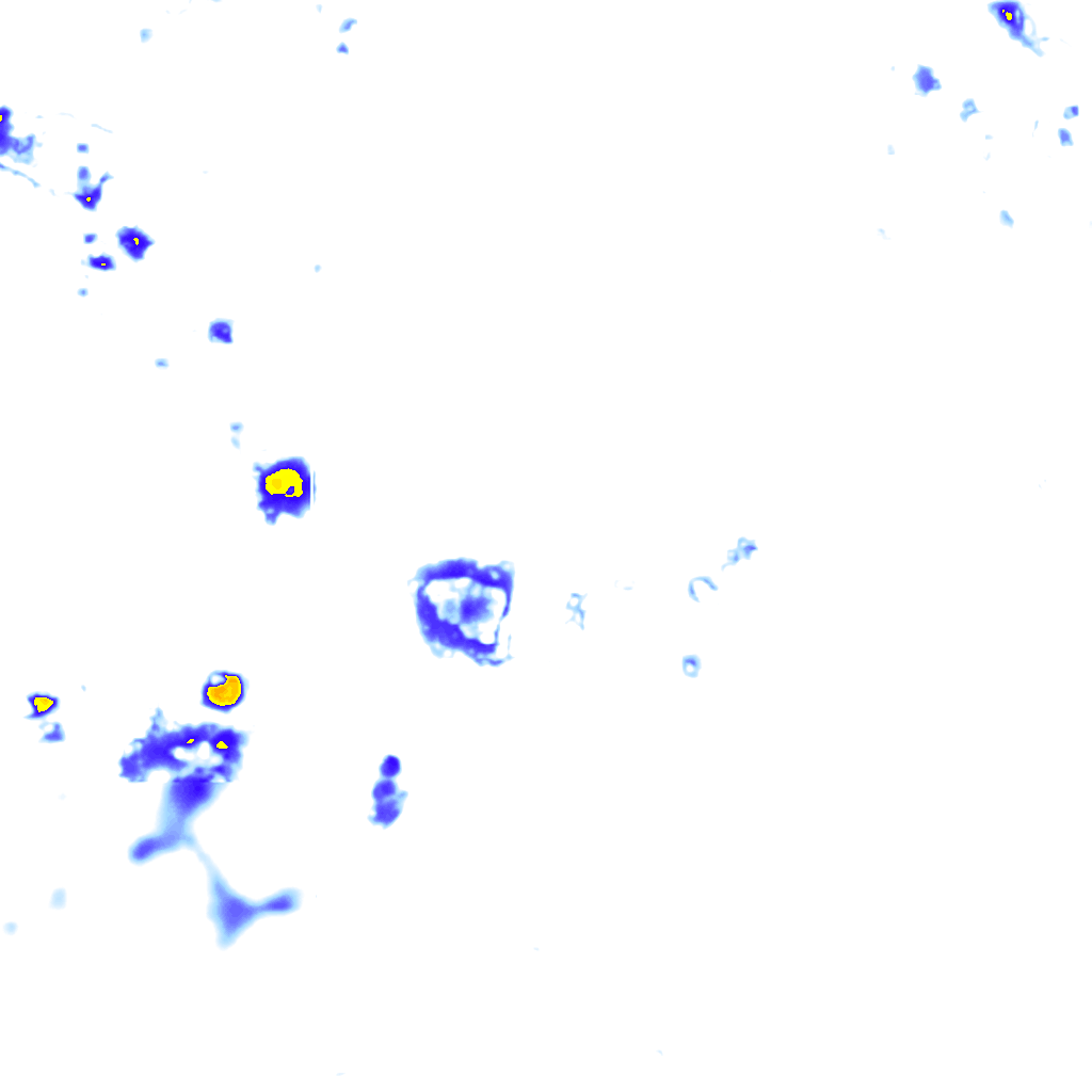rainLayer