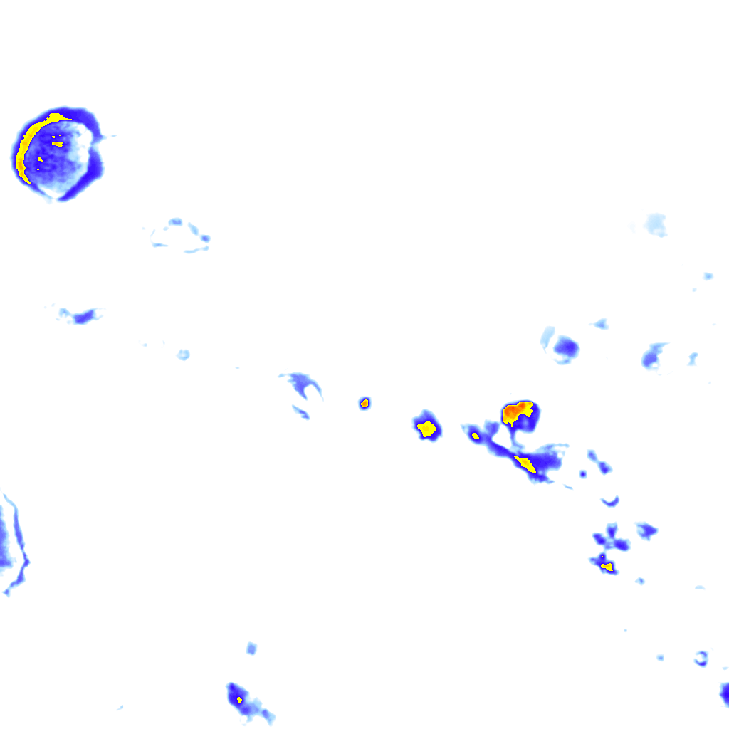 rainLayer