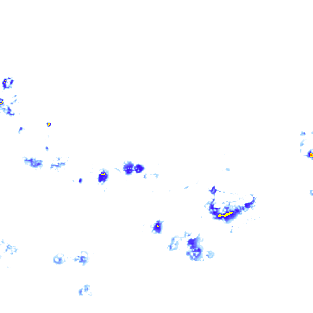 rainLayer