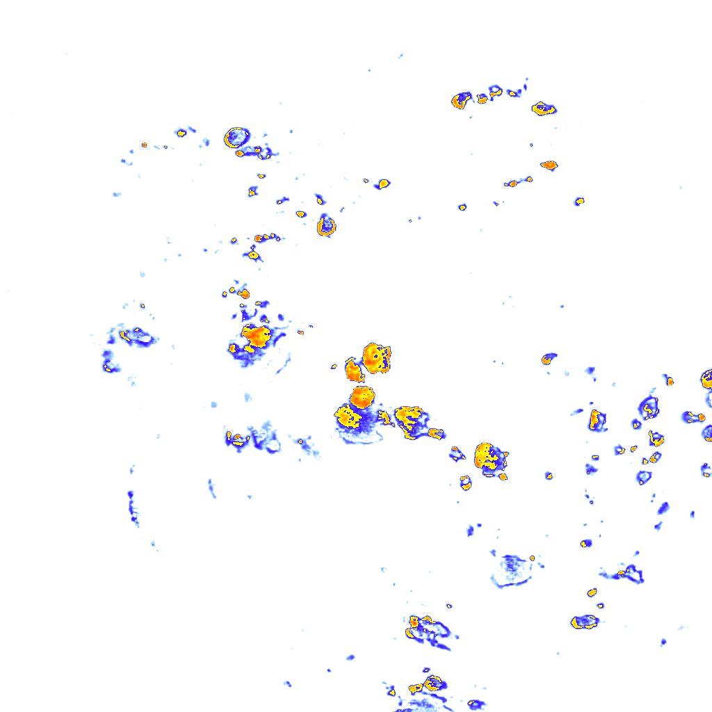 rainLayer