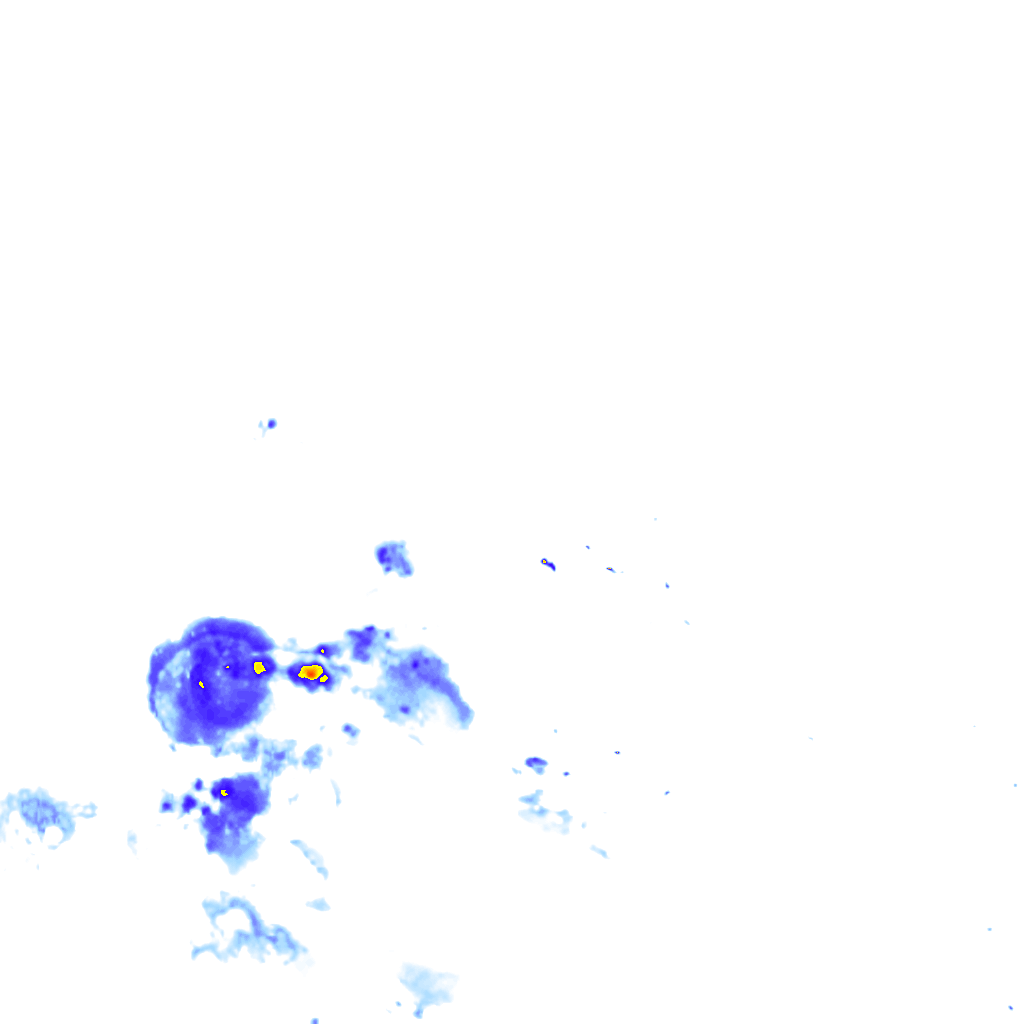 Image Layer