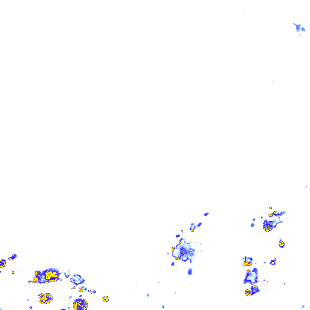 rainLayer
