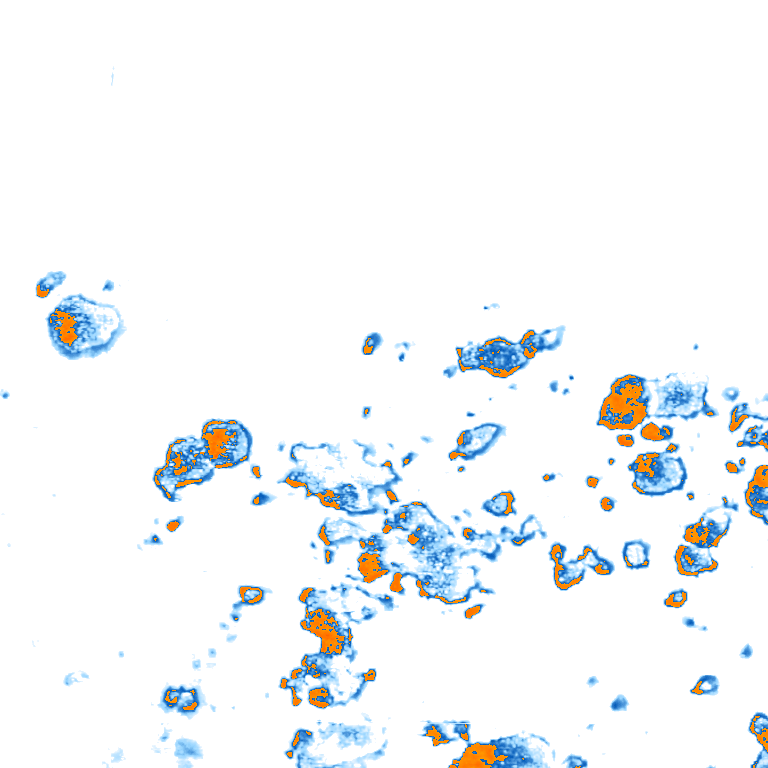 rain layer