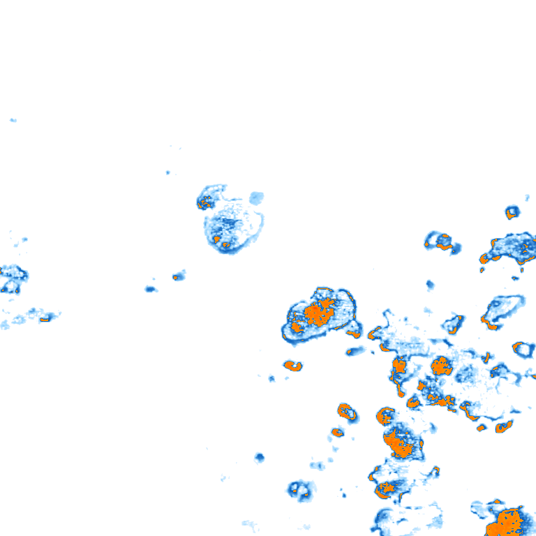rain layer
