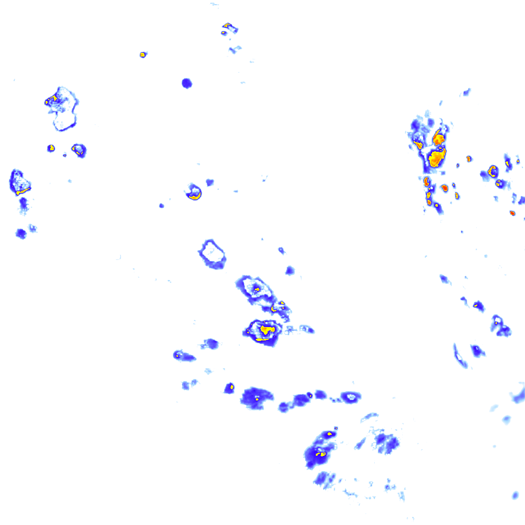 rainLayer